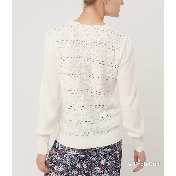 NWT LOFT Dot Stripe Pointelle Sweater Sz S $79.50! - Picture 3 of 4